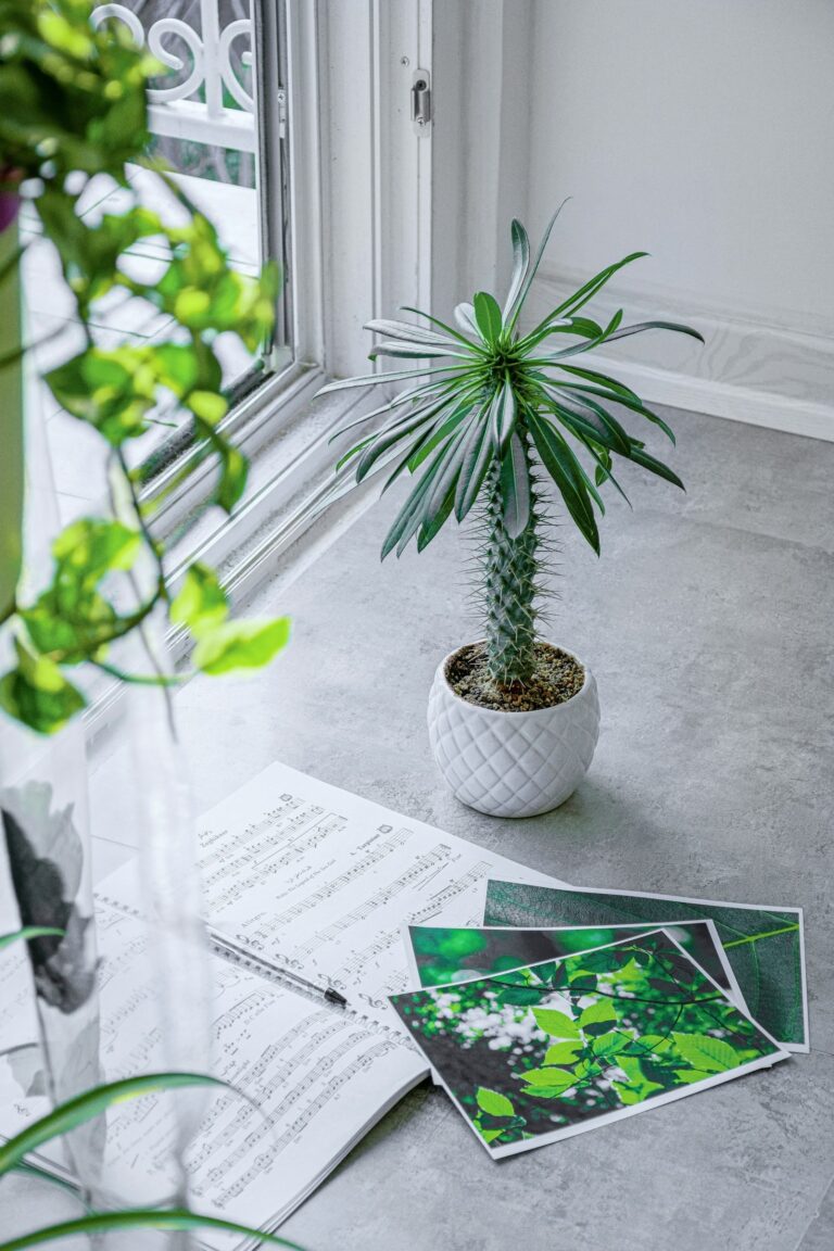 The Role of Light in Keeping Houseplants Healthy